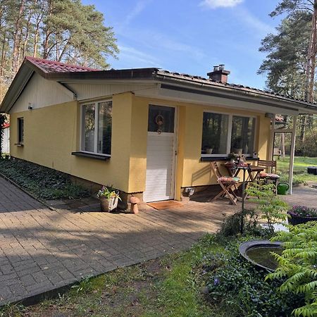 Ferienhaus Im Wald Villa Borkwalde Exterior photo