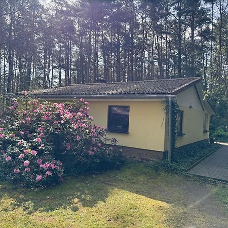 Ferienhaus Im Wald Villa Borkwalde Exterior photo