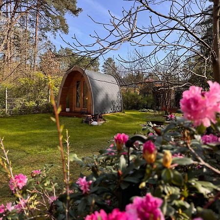 Ferienhaus Im Wald Villa Borkwalde Exterior photo