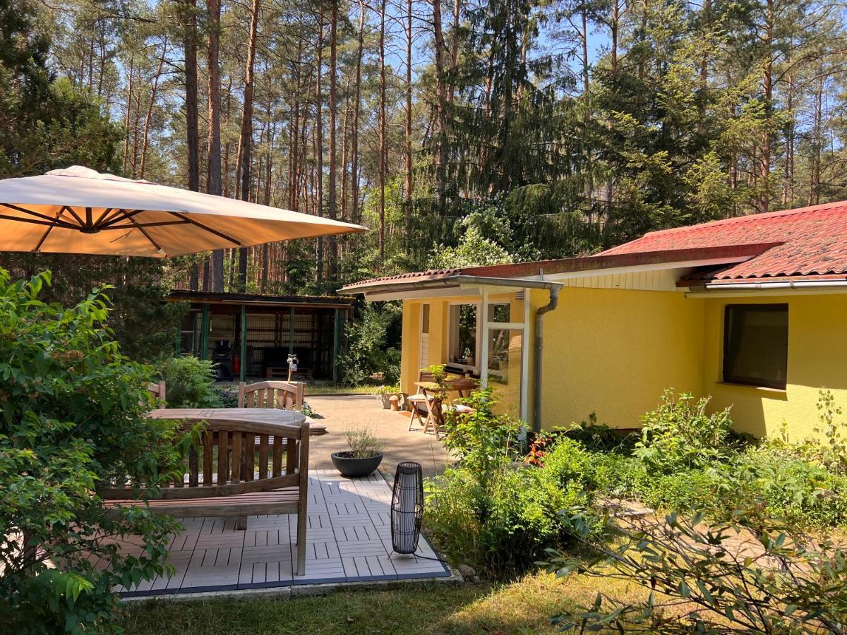 Ferienhaus Im Wald Villa Borkwalde Exterior photo